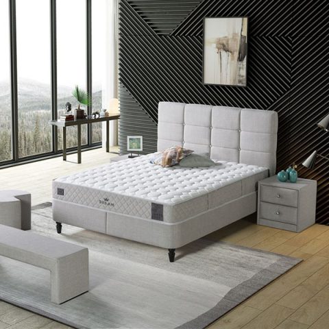 Dream