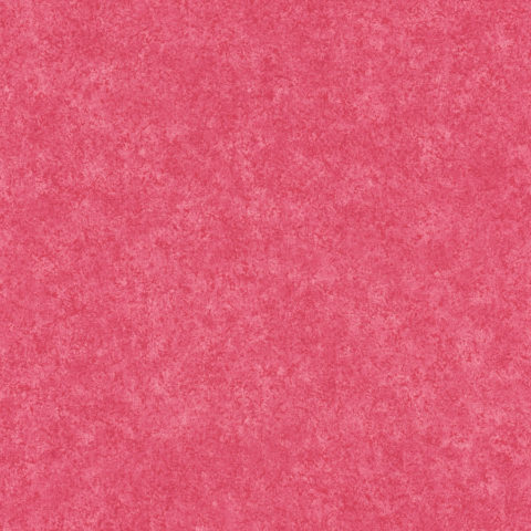 A.S. Création 379135